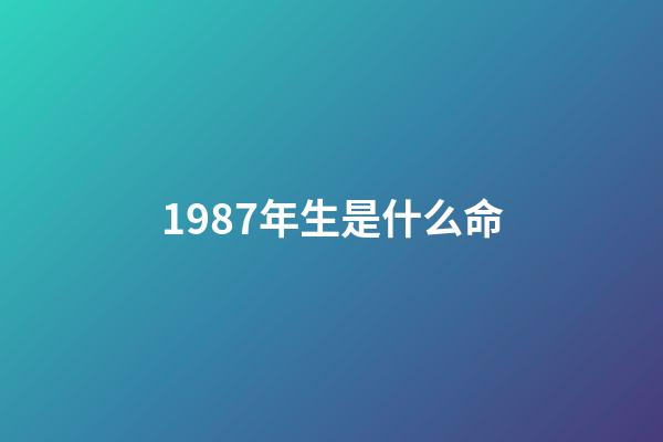 1987年生是什么命