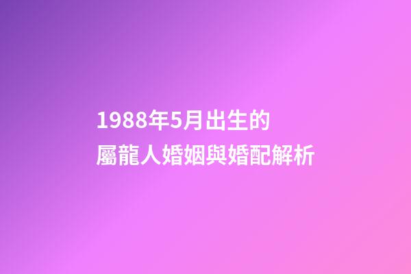 1988年5月出生的屬龍人婚姻與婚配解析