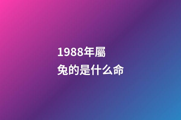 1988年屬兔的是什么命(「單身男女」1988年男公務員：有車、房，家庭無負擔)-第1張-觀點-玄機派