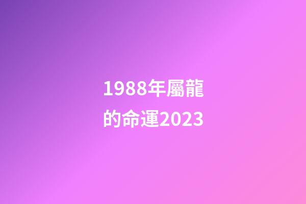 1988年屬龍的命運2023(明年桃花運旺，好運接連到來的生肖)-第1張-觀點-玄機派