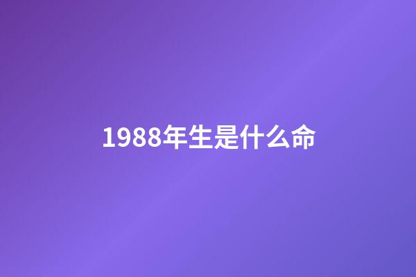 1988年生是什么命
