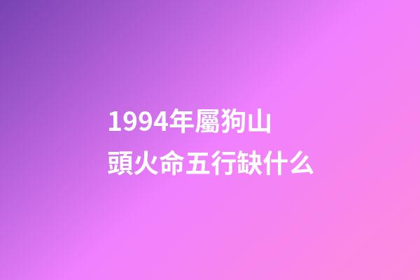 1994年屬狗山頭火命五行缺什么(生肖狗：2017犯太歲，善于規避也能有所作為)-第1張-觀點-玄機派