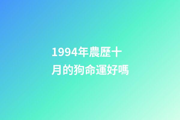 1994年農歷十月的狗命運好嗎(12生肖女哪年哪月出生最容易嫁給好男人)-第1張-觀點-玄機派