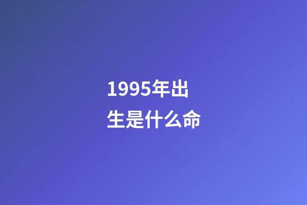 1995年出生是什么命