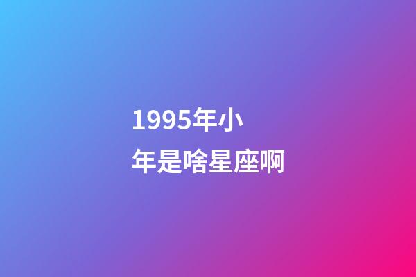 1995年小年是啥星座啊