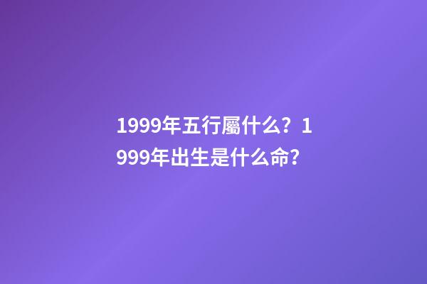 1999年五行屬什么？1999年出生是什么命？