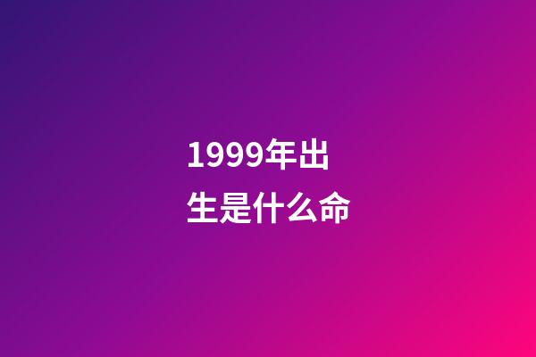 1999年出生是什么命
