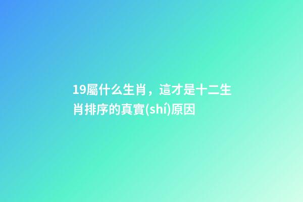 19屬什么生肖，這才是十二生肖排序的真實(shí)原因-第1張-觀點(diǎn)-玄機(jī)派