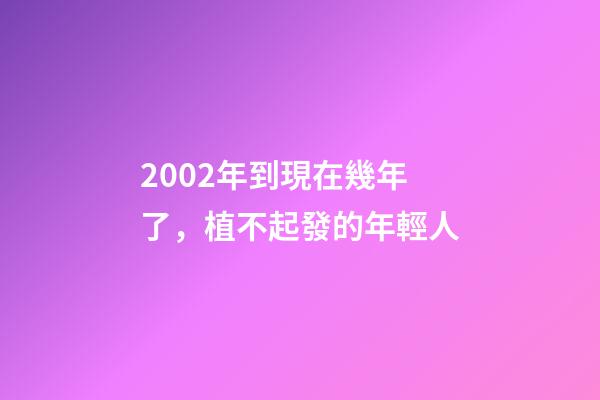2002年到現在幾年了，植不起發的年輕人