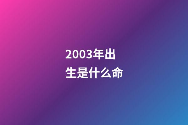 2003年出生是什么命