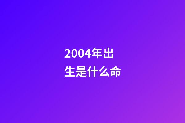 2004年出生是什么命