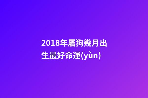 2018年屬狗幾月出生最好命運(yùn)(2018年出生的狗寶寶這幾個(gè)月命最好了，大家快來看看有你家的嗎？)-第1張-觀點(diǎn)-玄機(jī)派