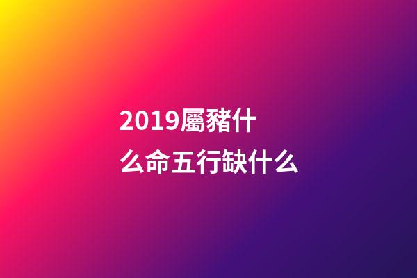 2019屬豬什么命五行缺什么(豬年如何行大運？)-第1張-觀點-玄機派