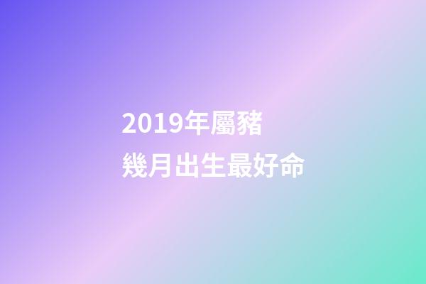 2019年屬豬幾月出生最好命(2019年是什么豬年 好運(yùn)來(lái)了)-第1張-觀點(diǎn)-玄機(jī)派