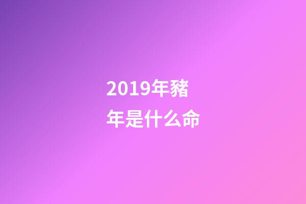 2019年豬年是什么命(金永國：同蛋不同“命”，同蛋不同“價”，同蛋不同“味”，同蛋不同“樣”)-第1張-觀點-玄機派