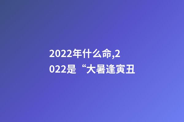 2022年什么命,2022是“大暑逢寅丑-第1張-觀點-玄機派