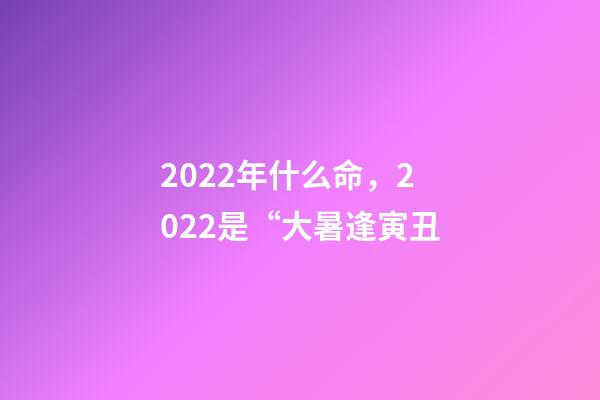 2022年什么命，2022是“大暑逢寅丑-第1張-觀點-玄機派