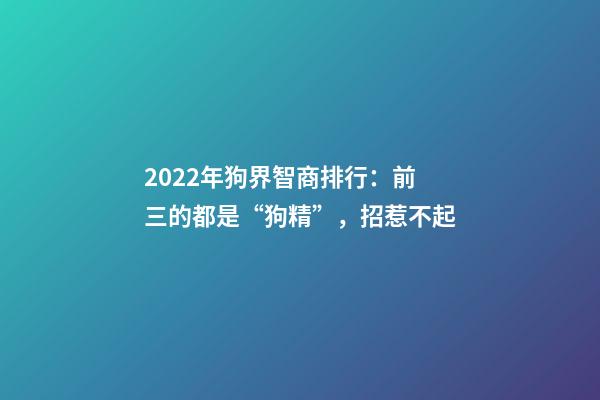 2022年狗界智商排行：前三的都是“狗精”，招惹不起-第1張-觀點-玄機派