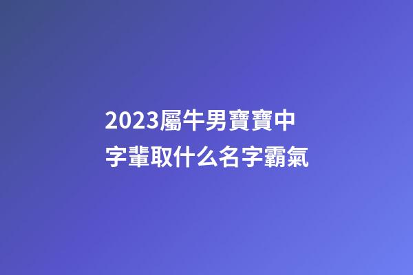 2023屬牛男寶寶中字輩取什么名字霸氣