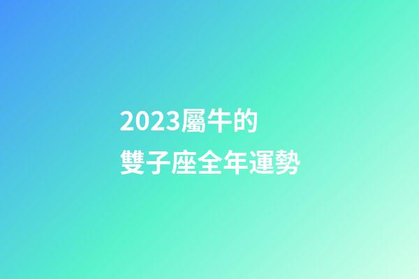 2023屬牛的雙子座全年運勢-第1張-星座運勢-玄機派