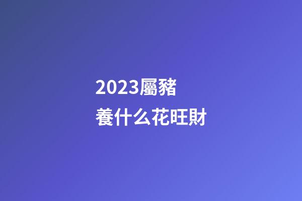 2023屬豬養什么花旺財