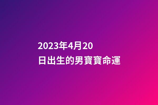 2023年4月20日出生的男寶寶命運