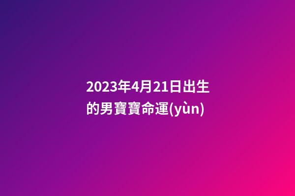 2023年4月21日出生的男寶寶命運(yùn)