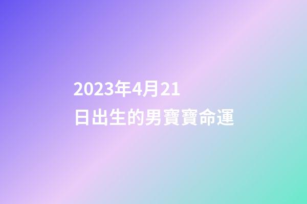 2023年4月21日出生的男寶寶命運