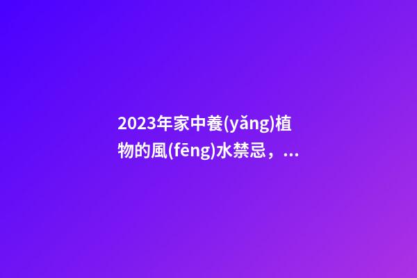 2023年家中養(yǎng)植物的風(fēng)水禁忌，最后一點(diǎn)很多人忽略了
