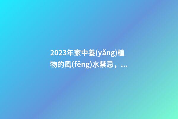 2023年家中養(yǎng)植物的風(fēng)水禁忌，最后一點很多人忽略了