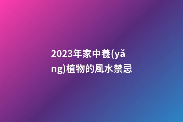 2023年家中養(yǎng)植物的風水禁忌