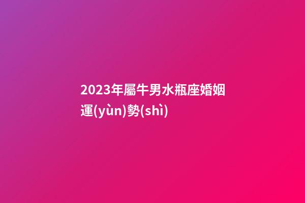 2023年屬牛男水瓶座婚姻運(yùn)勢(shì)-第1張-星座運(yùn)勢(shì)-玄機(jī)派
