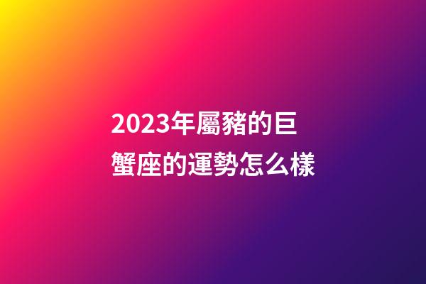 2023年屬豬的巨蟹座的運勢怎么樣-第1張-星座運勢-玄機(jī)派