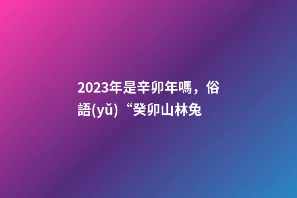 2023年是辛卯年嗎，俗語(yǔ)“癸卯山林兔-第1張-觀點(diǎn)-玄機(jī)派