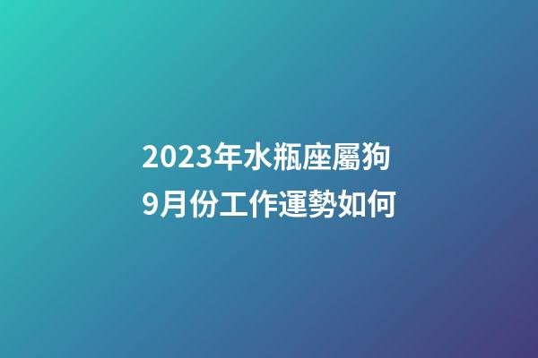 2023年水瓶座屬狗9月份工作運勢如何-第1張-星座運勢-玄機派