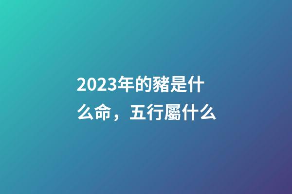 2023年的豬是什么命，五行屬什么?