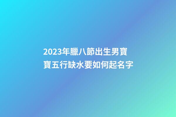 2023年臘八節出生男寶寶五行缺水要如何起名字