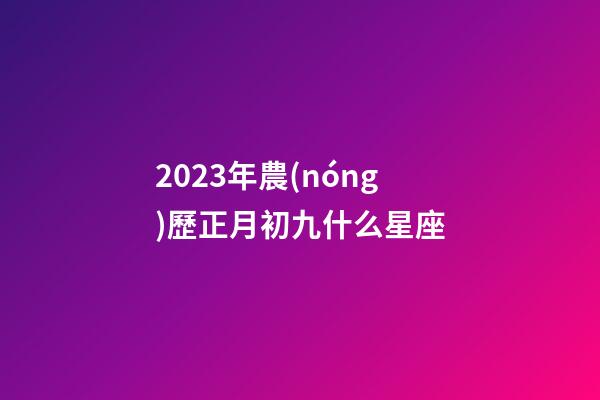 2023年農(nóng)歷正月初九什么星座-第1張-星座運勢-玄機派