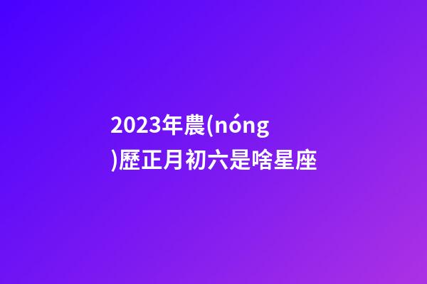 2023年農(nóng)歷正月初六是啥星座-第1張-星座運勢-玄機派