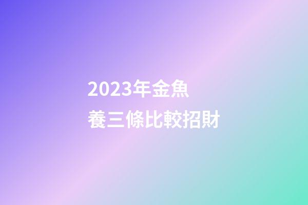 2023年金魚養三條比較招財