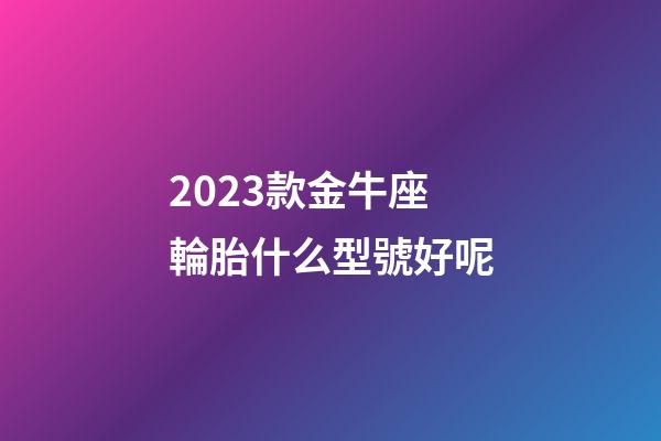 2023款金牛座輪胎什么型號好呢
