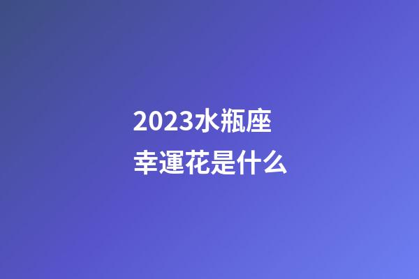 2023水瓶座幸運花是什么-第1張-星座運勢-玄機派