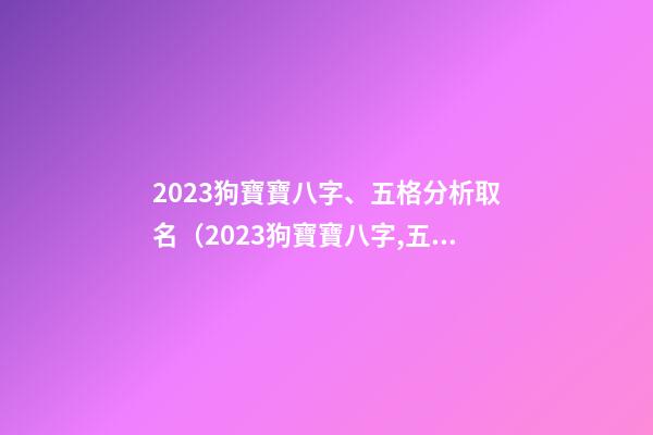 2023狗寶寶八字、五格分析取名（2023狗寶寶八字,五格分析取名吉兇）