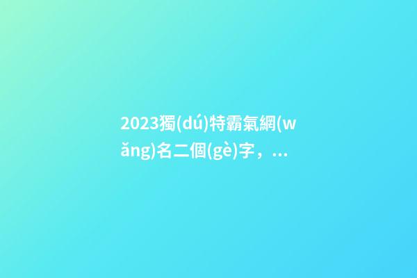 2023獨(dú)特霸氣網(wǎng)名二個(gè)字，超好看的網(wǎng)名-第1張-觀點(diǎn)-玄機(jī)派