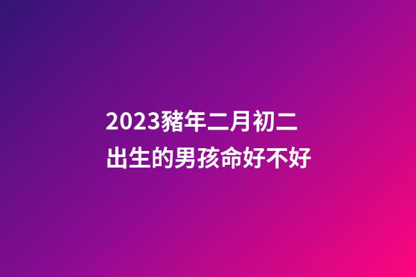 2023豬年二月初二出生的男孩命好不好