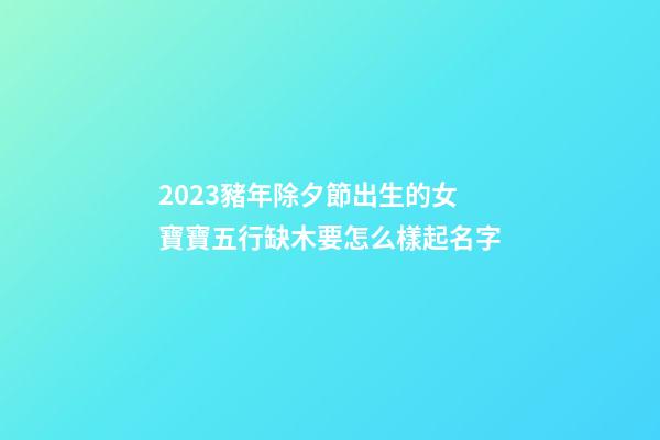2023豬年除夕節出生的女寶寶五行缺木要怎么樣起名字