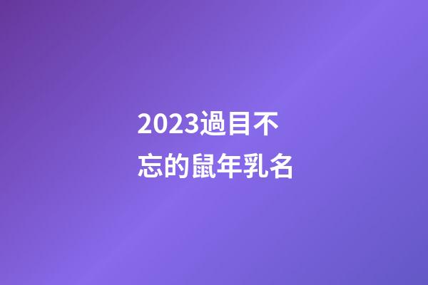 2023過目不忘的鼠年乳名