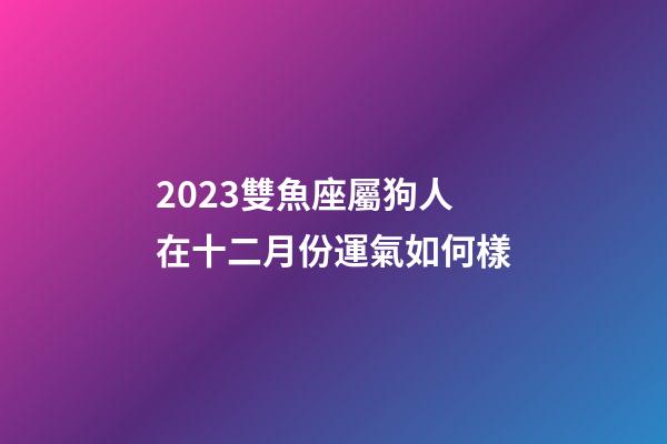 2023雙魚座屬狗人在十二月份運氣如何樣-第1張-星座運勢-玄機派
