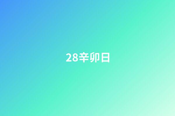 28.辛卯日
