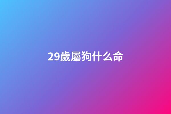 29歲屬狗什么命(父母屬狗孩子屬什么好 屬狗的父母生什么寶寶)-第1張-觀點-玄機派